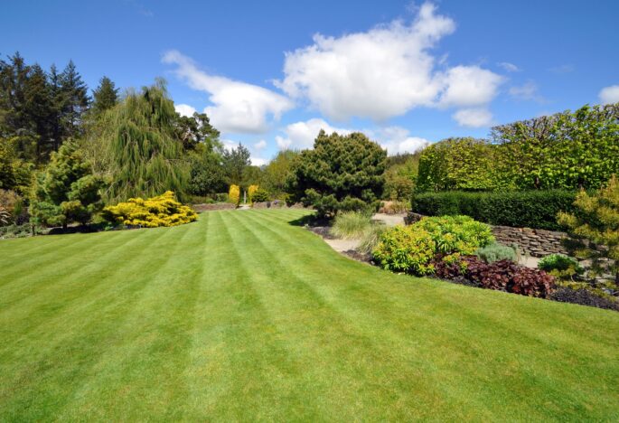 Benefits Of A Well Maintained Lawn